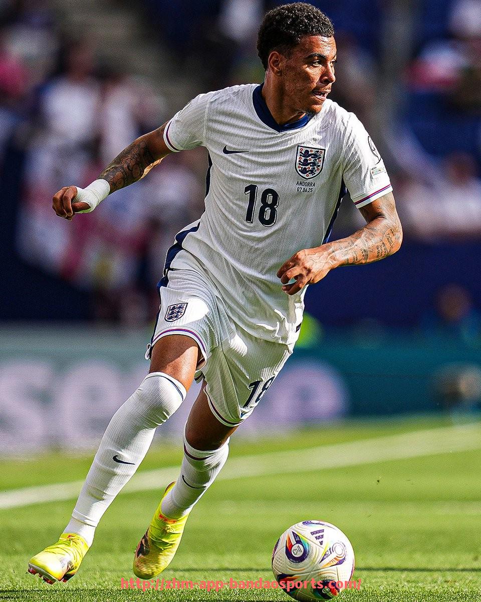 半岛体育app-360平台西甲联赛直播服务及赛事资源解析