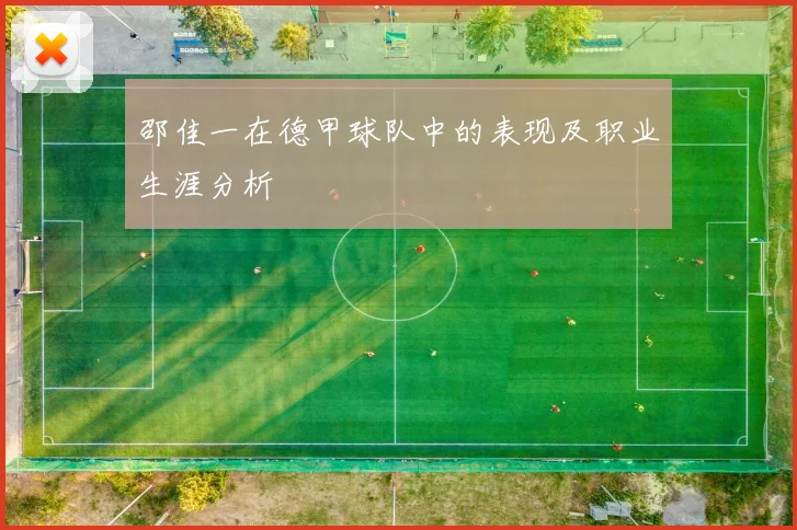 邵佳一在德甲球队中的表现及职业生涯分析