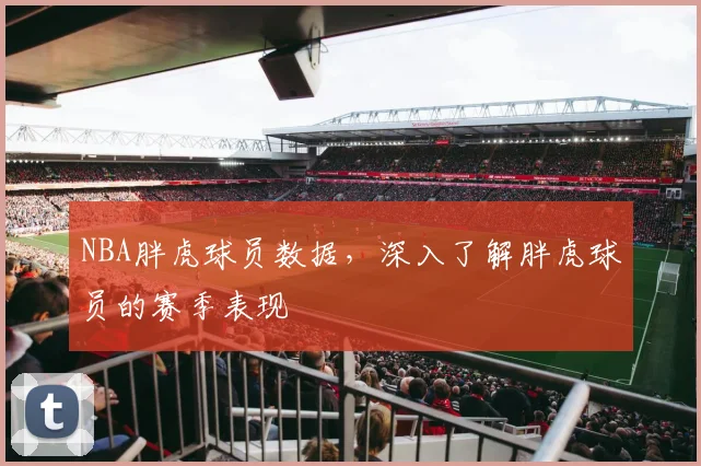 NBA胖虎球员数据，深入了解胖虎球员的赛季表现
