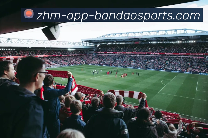 多媒体互动体验