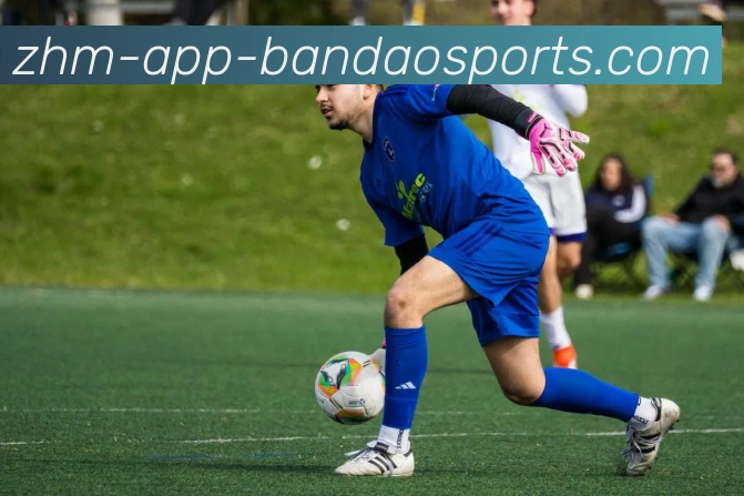 半岛体育APP 高清赛事图